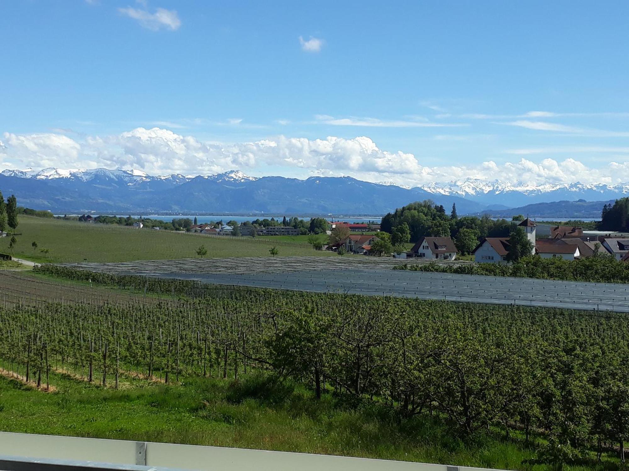 Erben Apartment Wasserburg am Bodensee